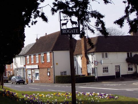Crocuses, Rogate village sign and village stores